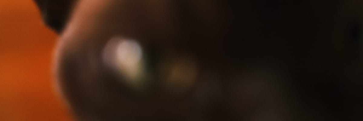 One photo a day - January 1st to January 18th