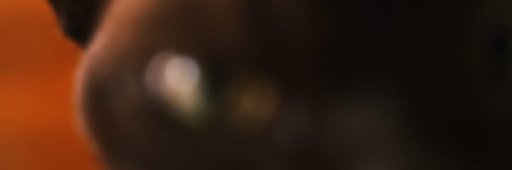 One photo a day - January 1st to January 18th